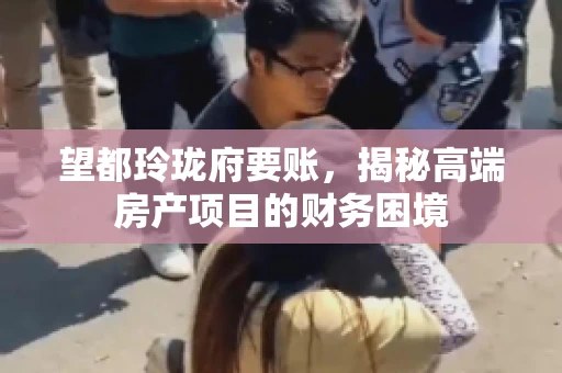 望都玲珑府要账，揭秘高端房产项目的财务困境