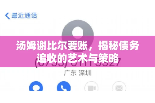 汤姆谢比尔要账，揭秘债务追收的艺术与策略
