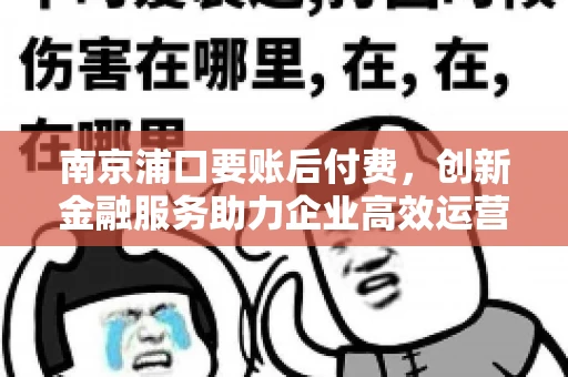 南京浦口要账后付费，创新金融服务助力企业高效运营