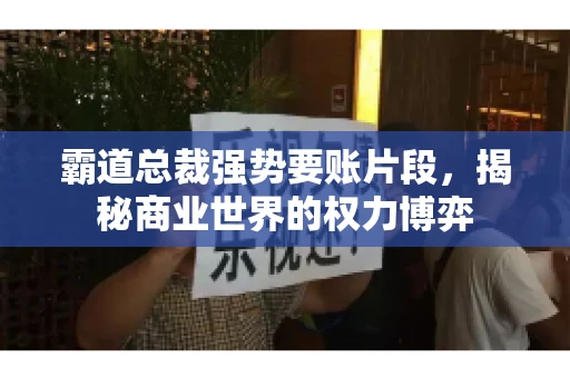 霸道总裁强势要账片段，揭秘商业世界的权力博弈