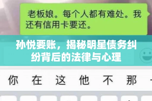 孙悦要账，揭秘明星债务纠纷背后的法律与心理