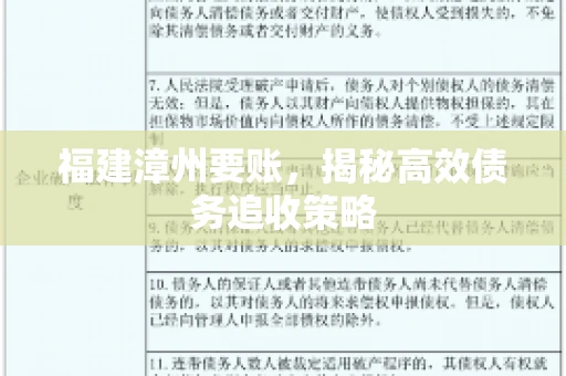 福建漳州要账，揭秘高效债务追收策略