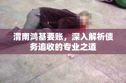 渭南鸿基要账，深入解析债务追收的专业之道