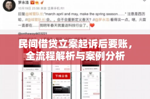 民间借贷立案起诉后要账，全流程解析与案例分析