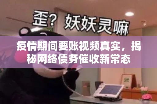 疫情期间要账视频真实，揭秘网络债务催收新常态