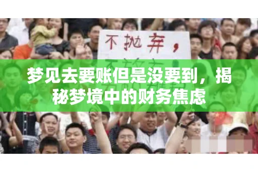 梦见去要账但是没要到，揭秘梦境中的财务焦虑