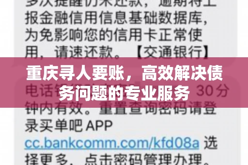重庆寻人要账，高效解决债务问题的专业服务