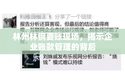 林州林钢要账现场，揭示企业账款管理的背后
