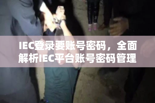 IEC登录要账号密码，全面解析IEC平台账号密码管理