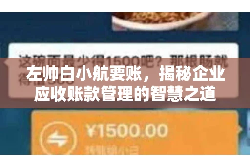 左帅白小航要账，揭秘企业应收账款管理的智慧之道