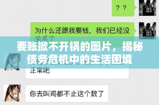 要账掀不开锅的图片，揭秘债务危机中的生活困境