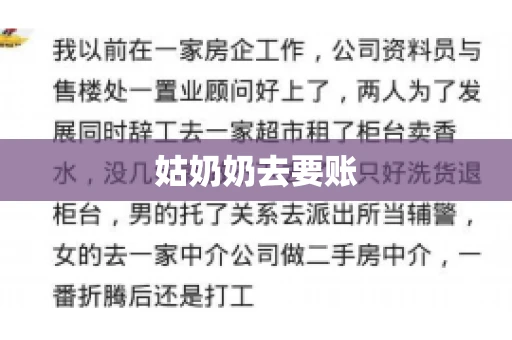 姑奶奶去要账