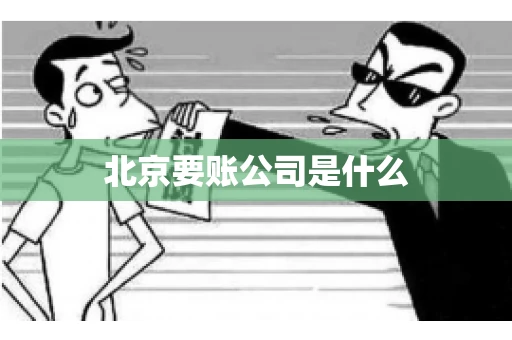 北京要账公司是什么