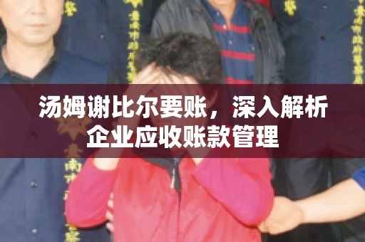 汤姆谢比尔要账，深入解析企业应收账款管理