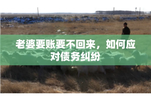 老婆要账要不回来，如何应对债务纠纷