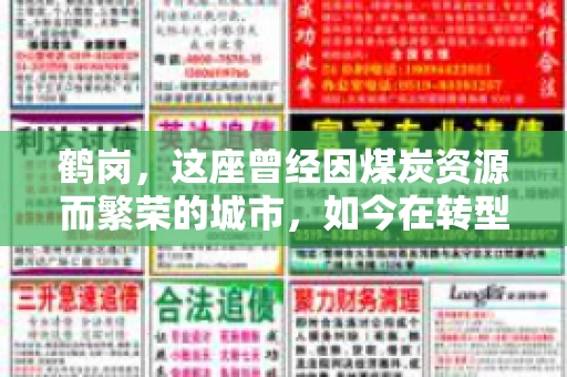 鹤岗，这座曾经因煤炭资源而繁荣的城市，如今在转型中寻求新的发展路径。在这座城市中，有一家名为“鹤岗要账公司”的企业，它以专业的服务，在众多企业中脱颖而出。今天，就让我们一起来了解一下这家公司，看看它是如何在这个充满挑战的市场中立足的。