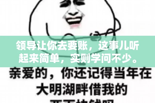 领导让你去要账，这事儿听起来简单，实则学问不少。我有个朋友，叫小王，最近就碰上了这样的难题。今天，咱们就聊聊这个话题，看看在职场中，面对领导交代的要账任务，我们应该怎么应对。