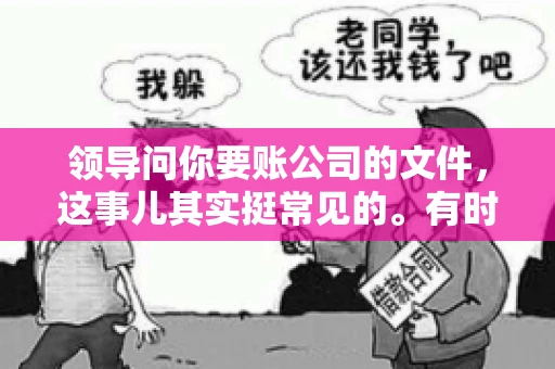领导问你要账公司的文件，这事儿其实挺常见的。有时候，你可能一头雾水，不知道从何下手。今天，我就来和大家聊聊这个话题，希望能帮到大家。