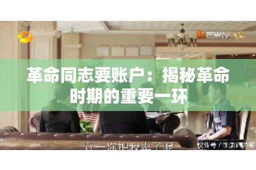 革命同志要账户：揭秘革命时期的重要一环