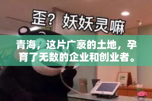 青海，这片广袤的土地，孕育了无数的企业和创业者。然而，在商业活动中，难免会遇到一些欠款问题。这时候，找一家专业的要账公司就显得尤为重要。那么，青海专业要账公司的电话是多少呢？今天，我就来和大家聊聊这个话题。