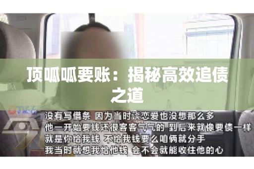 顶呱呱要账：揭秘高效追债之道