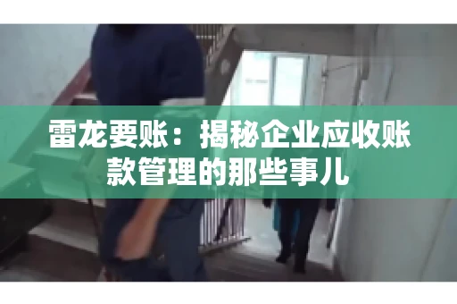 雷龙要账：揭秘企业应收账款管理的那些事儿
