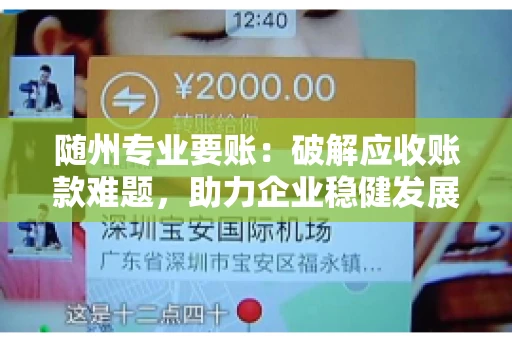 随州专业要账：破解应收账款难题，助力企业稳健发展