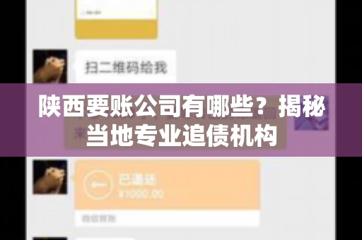 陕西要账公司有哪些？揭秘当地专业追债机构