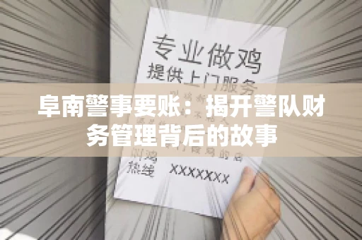 阜南警事要账：揭开警队财务管理背后的故事