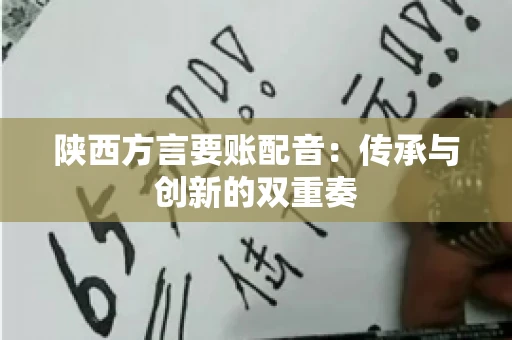 陕西方言要账配音：传承与创新的双重奏