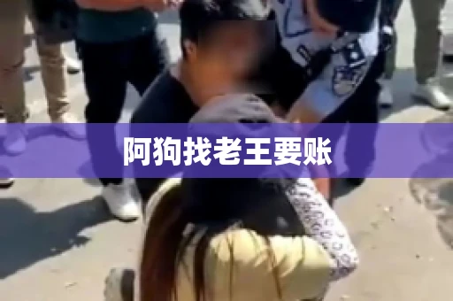阿狗找老王要账