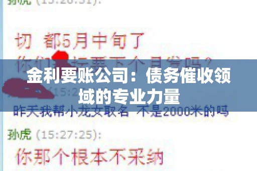 金利要账公司：债务催收领域的专业力量