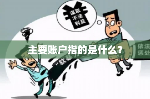 主要账户指的是什么？