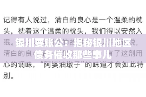 银川要账公：揭秘银川地区债务催收那些事儿