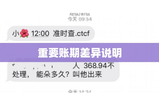 重要账期差异说明