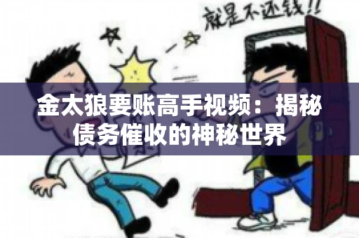 金太狼要账高手视频：揭秘债务催收的神秘世界