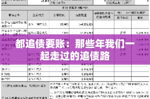 都追债要账：那些年我们一起走过的追债路