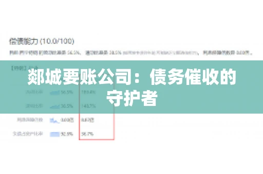 郯城要账公司：债务催收的守护者