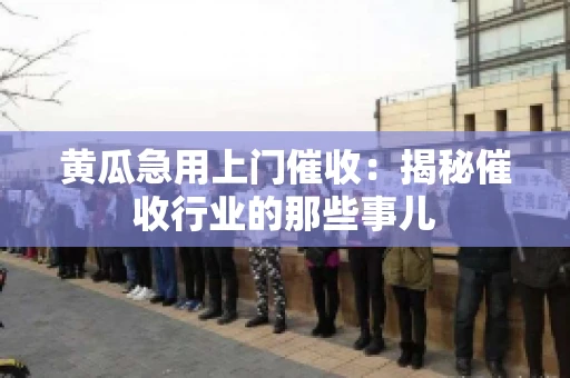 黄瓜急用上门催收：揭秘催收行业的那些事儿