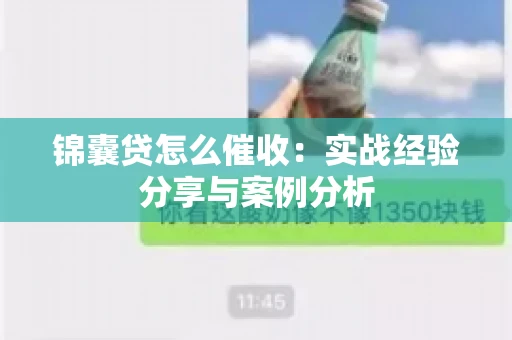 锦囊贷怎么催收：实战经验分享与案例分析