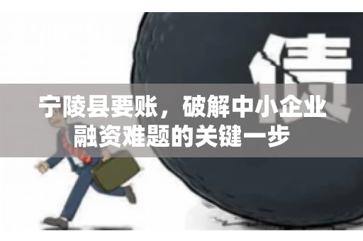 宁陵县要账，破解中小企业融资难题的关键一步