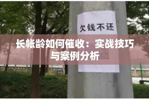 长帐龄如何催收：实战技巧与案例分析